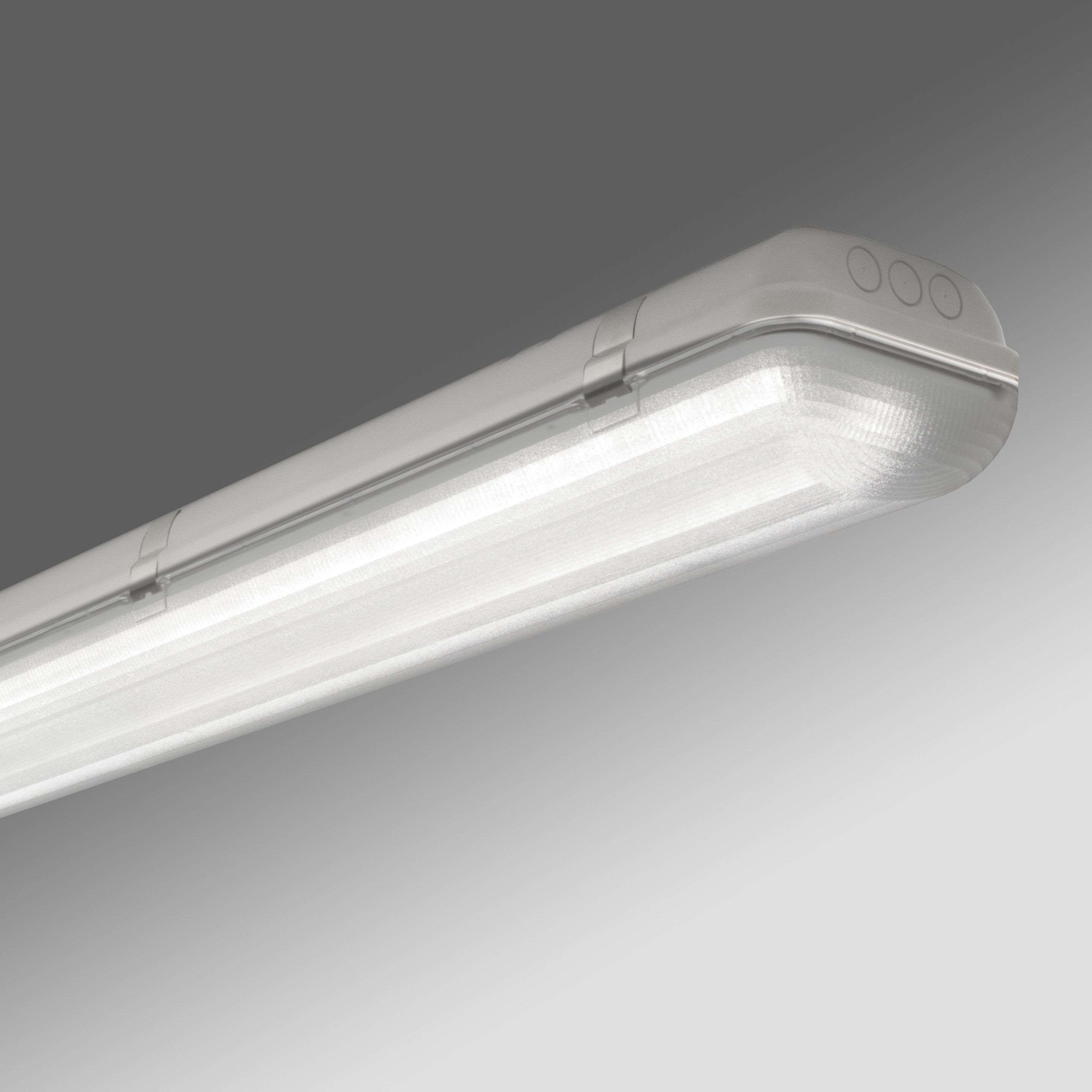 Corpuri de iluminat cu difuzor, gama LINDA LED, clasa de protectie I&nbsp;25309