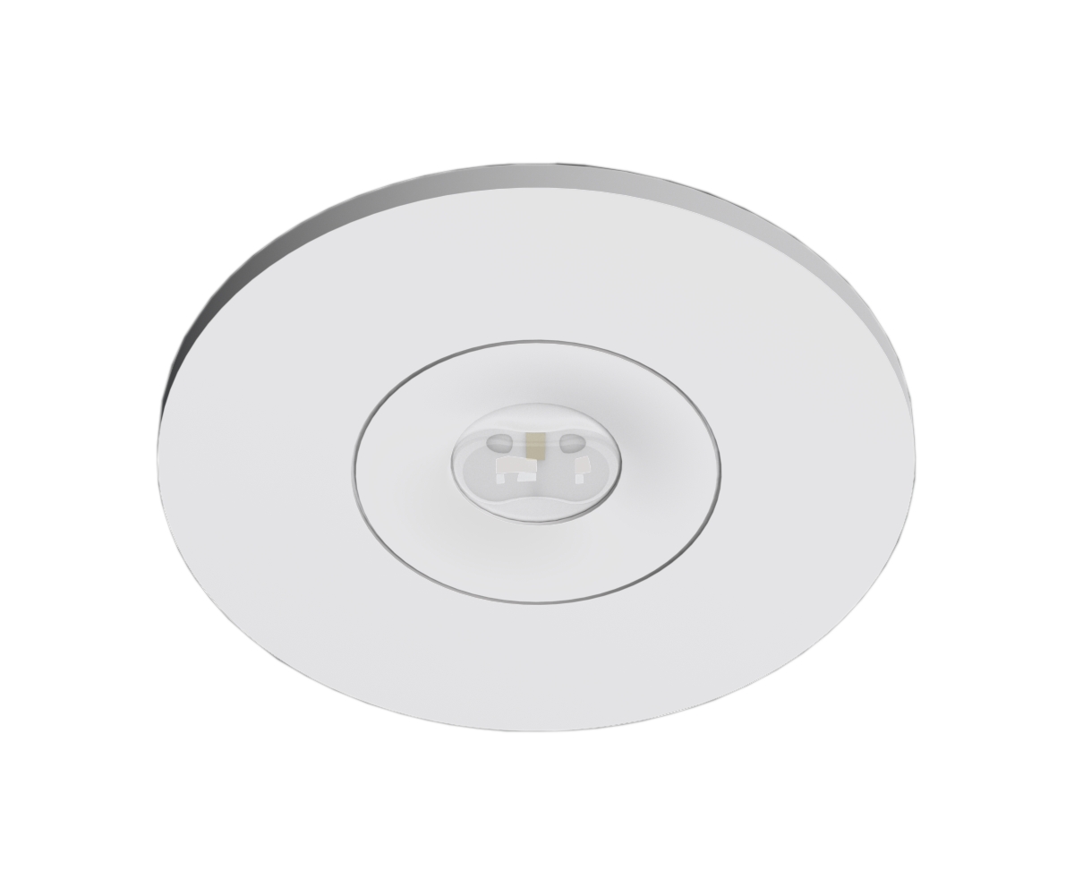 Corpuri de iluminat pentru iluminarea cailor de evacuare&nbsp;26163